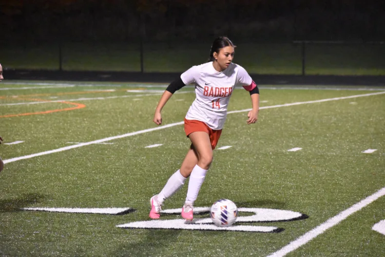 Badger falls to Tigers in tourney opener